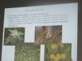 Predavanje biljke (2)